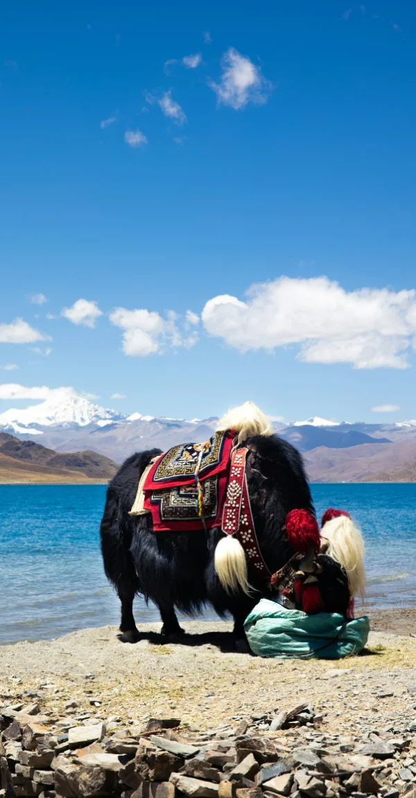 Geet Travel - High Altitude Valleys of Lhasa, Tibet