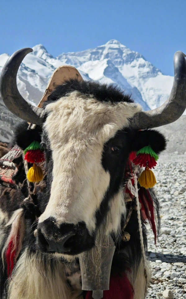 Geet Travel Gallery