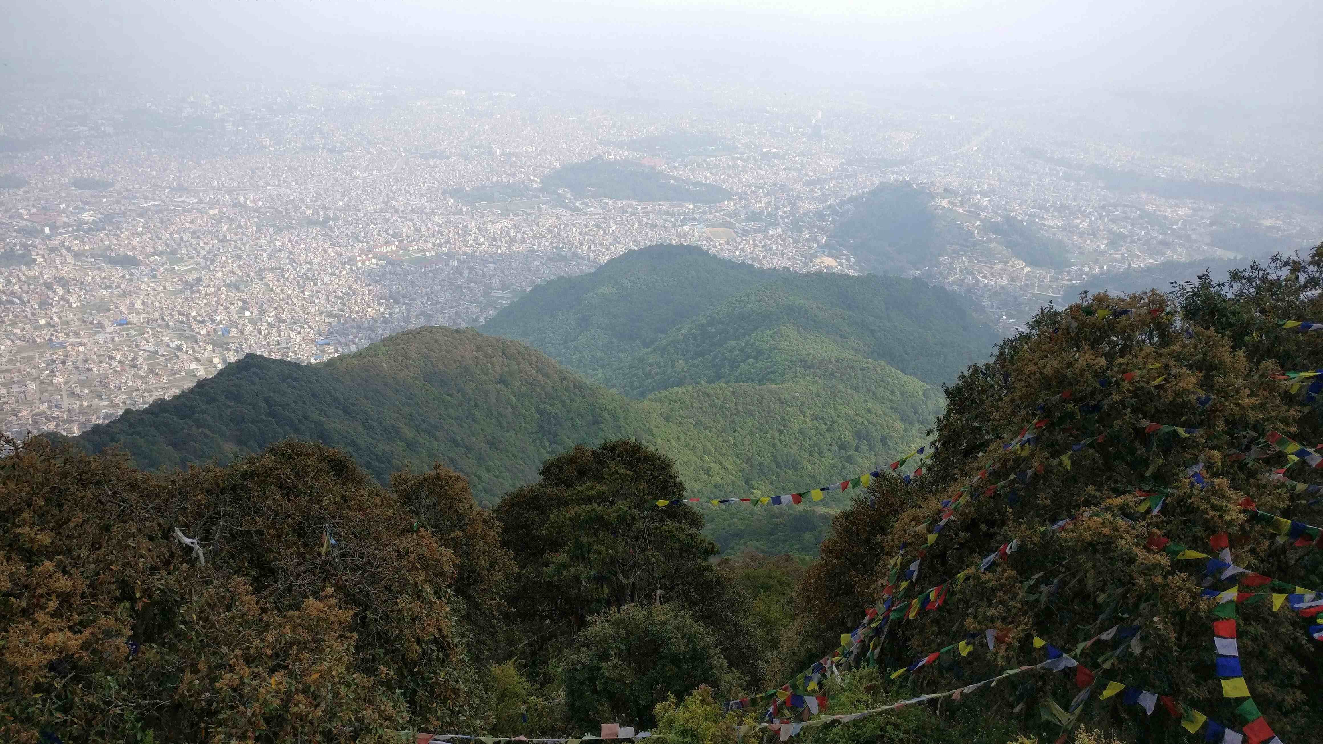 Forests of Nepal