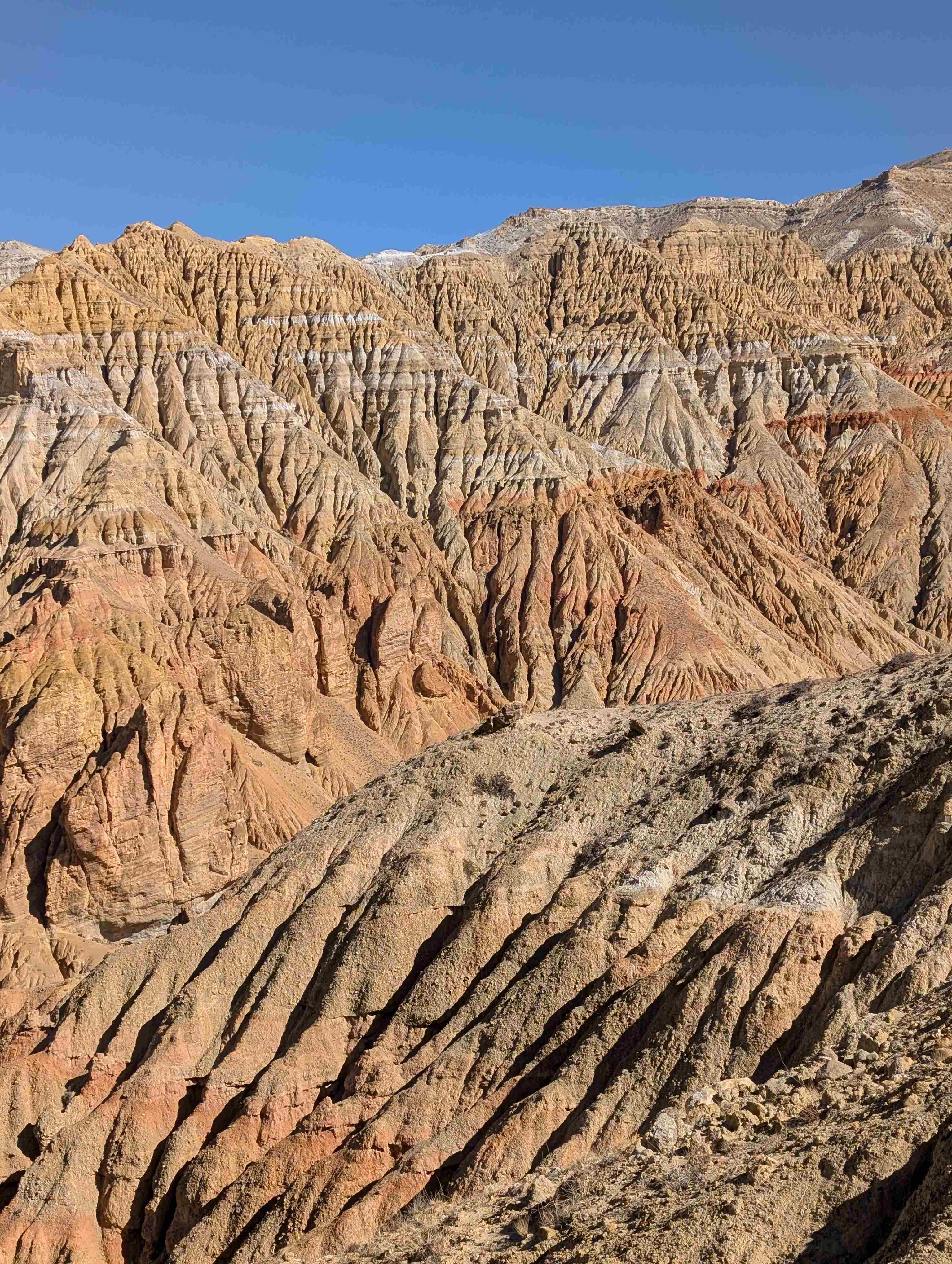 Mustang hills