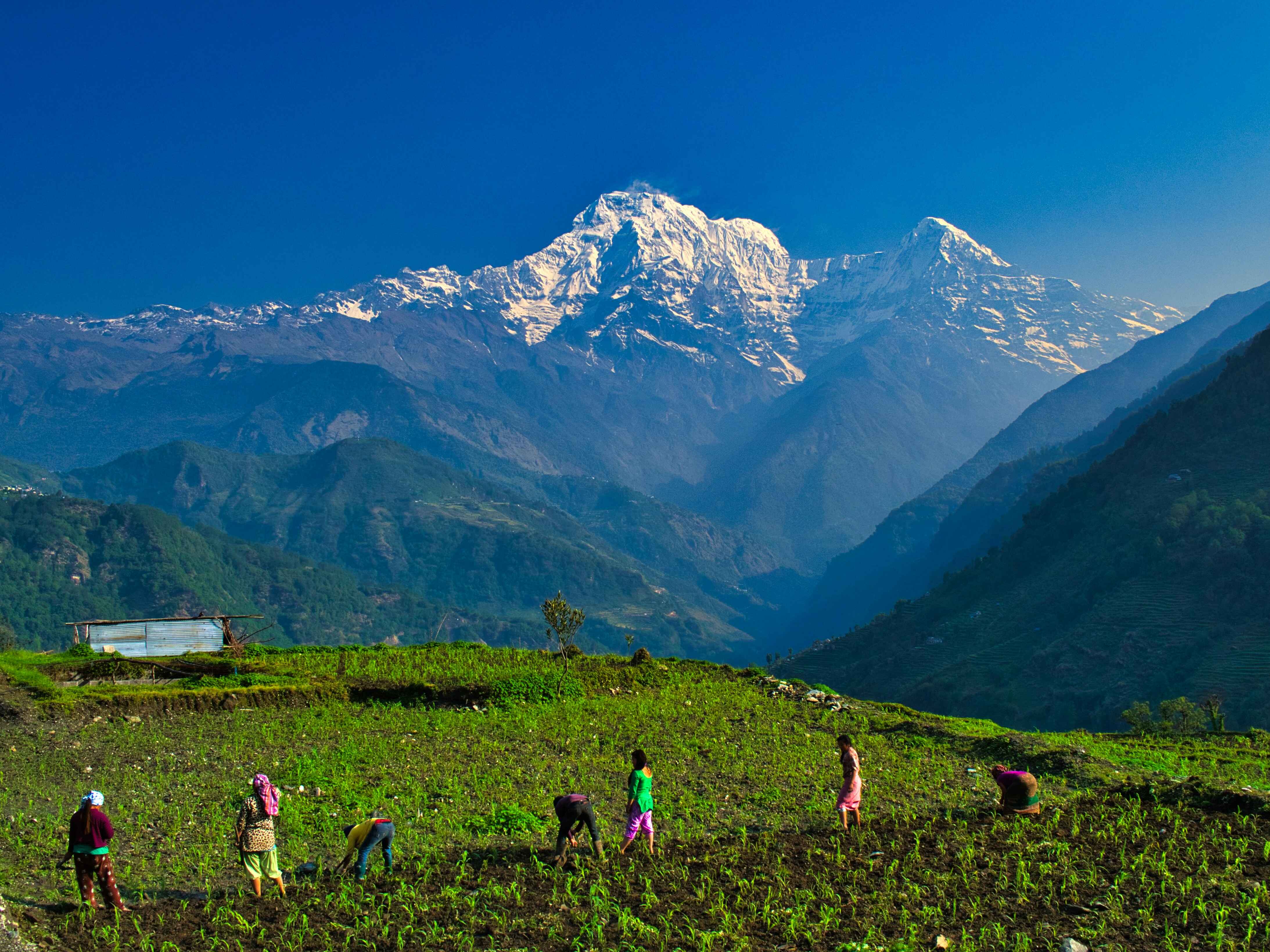 Pokhara for Wellness Travel