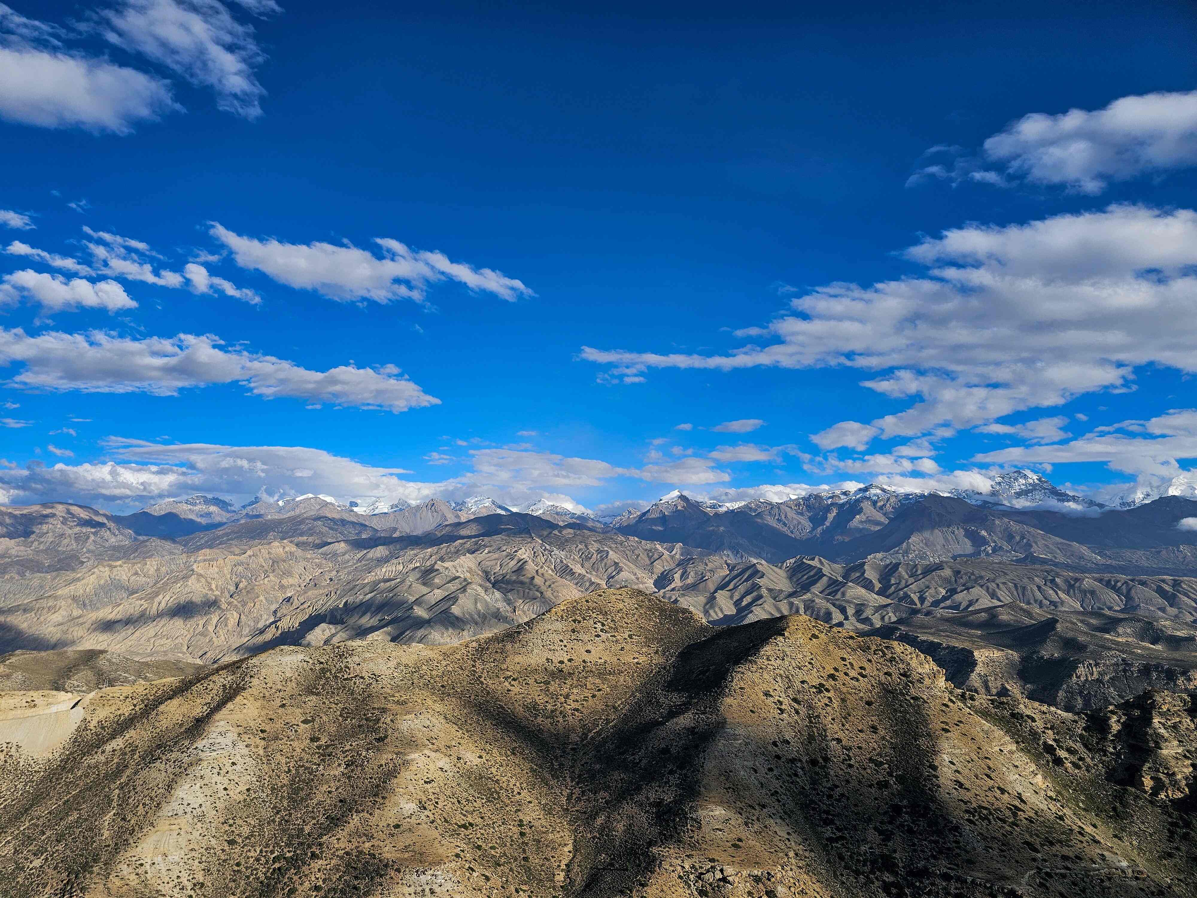 Mustang View