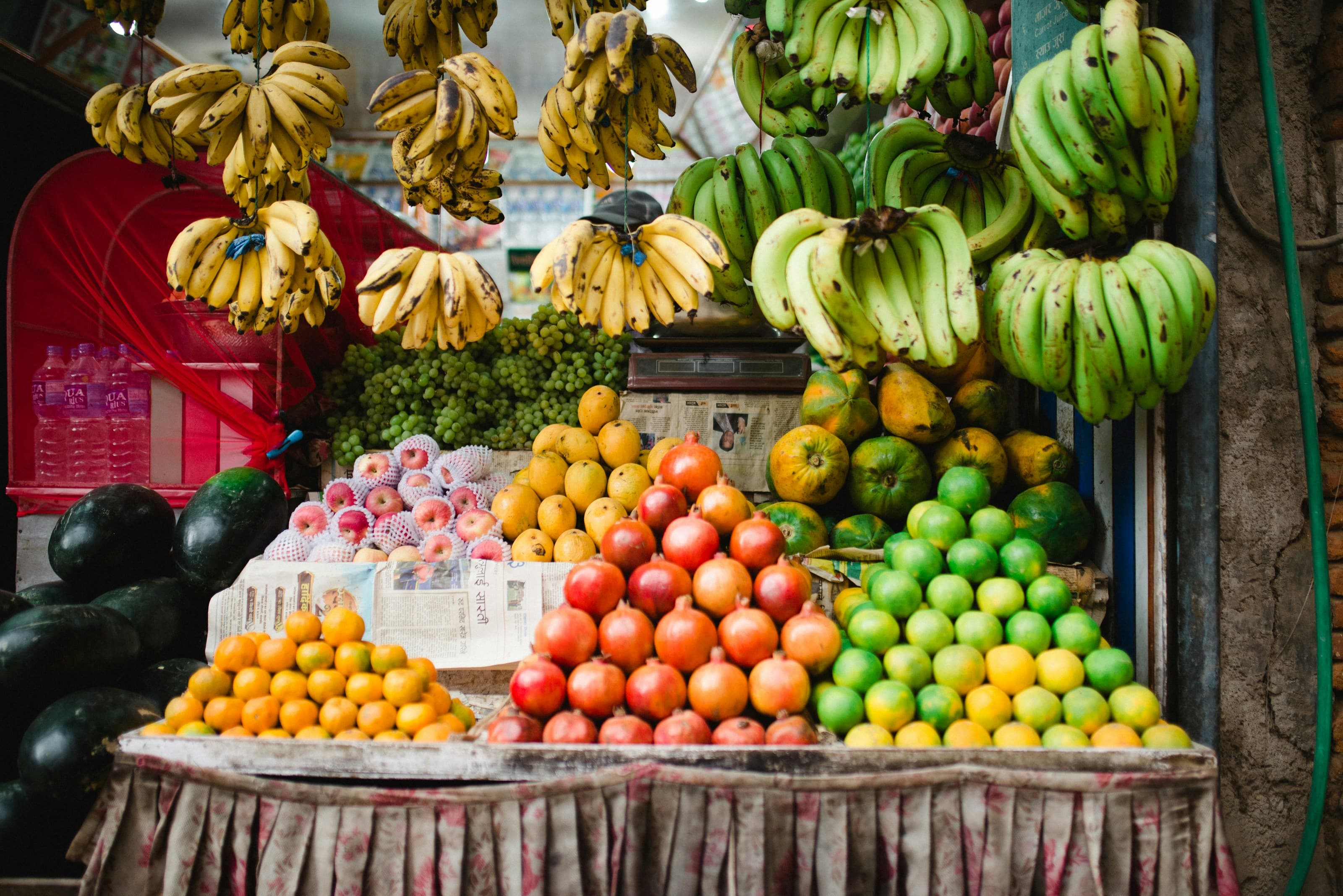 Fruits 