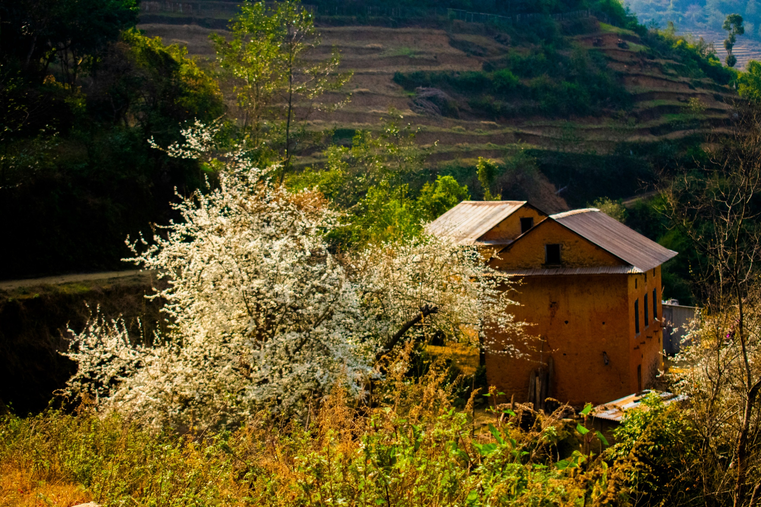 Geet Travel - 5 Wellness Experiences You Can Only Have in Nepal