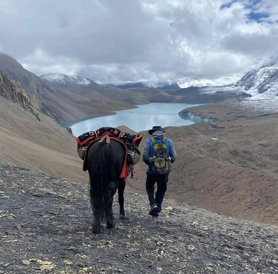 The Horses of Mustang and Their Role in Tourism