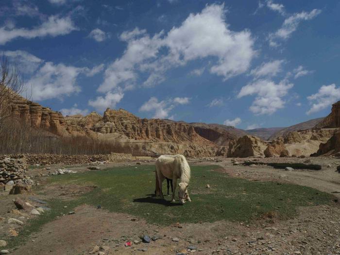 20 Days Horse Trek Through The Forbidden Kingdom of Upper Mustang, Nepal
